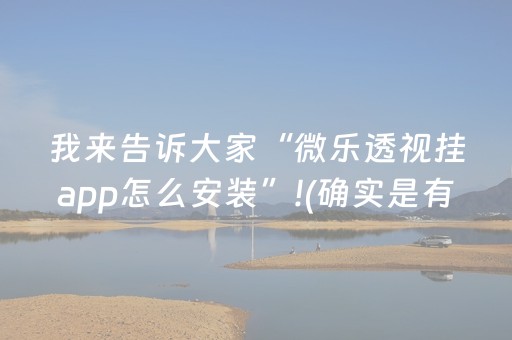 我来告诉大家“微乐透视挂app怎么安装”!(确实是有挂)-知乎