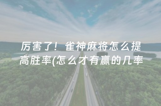厉害了！雀神麻将怎么提高胜率(怎么才有赢的几率)