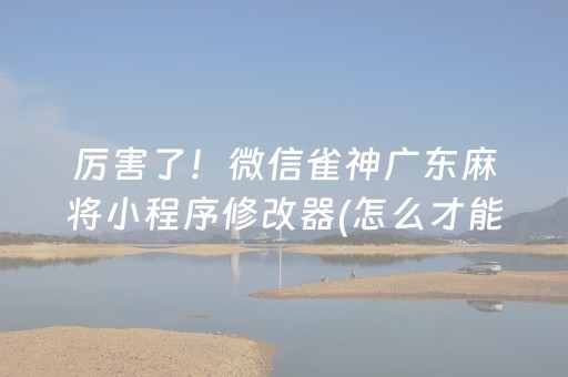 厉害了！微信雀神广东麻将小程序修改器(怎么才能起到好牌)