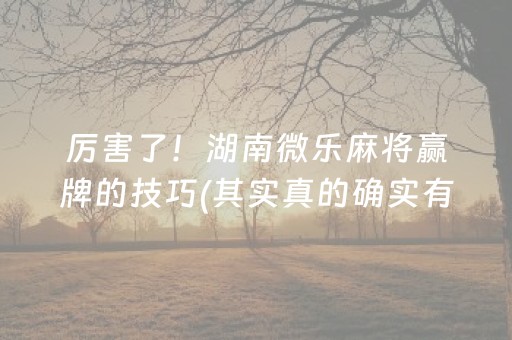 厉害了！湖南微乐麻将赢牌的技巧(其实真的确实有挂)
