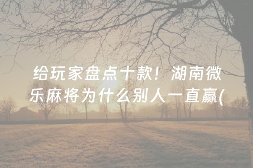 给玩家盘点十款！湖南微乐麻将为什么别人一直赢(怎么设置胡牌)