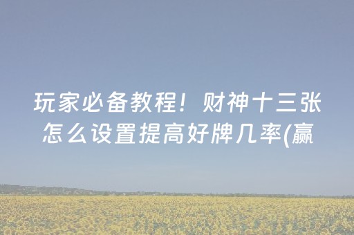 玩家必备教程！财神十三张怎么设置提高好牌几率(赢牌技巧插件安装)