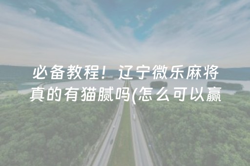 必备教程！辽宁微乐麻将真的有猫腻吗(怎么可以赢)