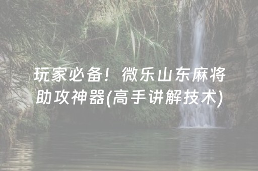 玩家必备！微乐山东麻将助攻神器(高手讲解技术)