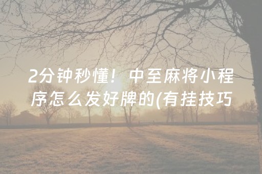 2分钟秒懂！中至麻将小程序怎么发好牌的(有挂技巧辅助器)