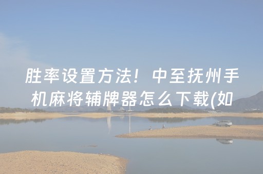 胜率设置方法！中至抚州手机麻将辅牌器怎么下载(如何能一直赢)