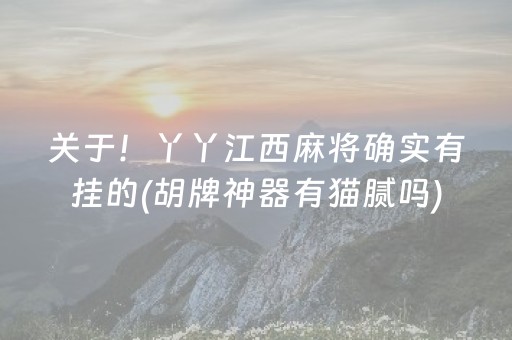 关于！丫丫江西麻将确实有挂的(胡牌神器有猫腻吗)