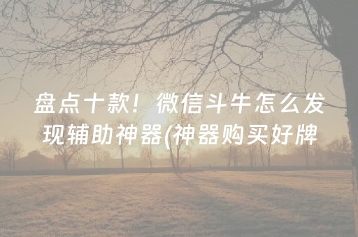 盘点十款！微信斗牛怎么发现辅助神器(神器购买好牌规律)