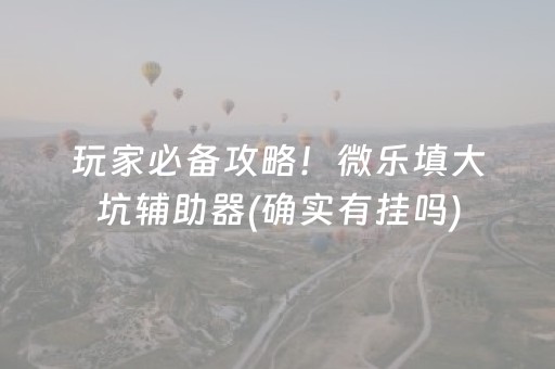 玩家必备攻略！微乐填大坑辅助器(确实有挂吗)