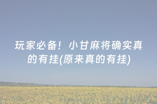 玩家必备！小甘麻将确实真的有挂(原来真的有挂)