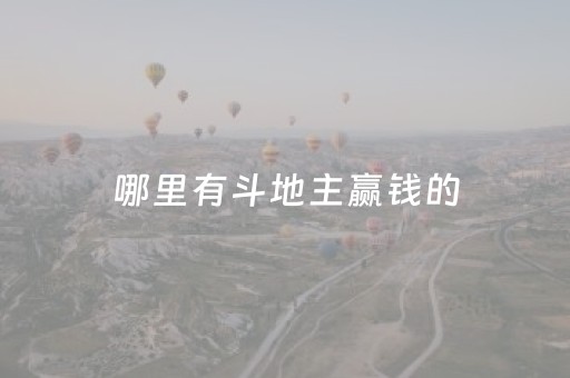 哪里有斗地主赢钱的（哪个斗地主是可以的）