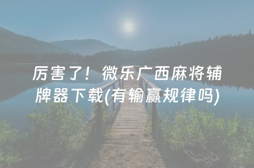 厉害了！微乐广西麻将辅牌器下载(有输赢规律吗)