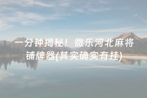 一分钟揭秘！微乐河北麻将铺牌器(其实确实有挂)