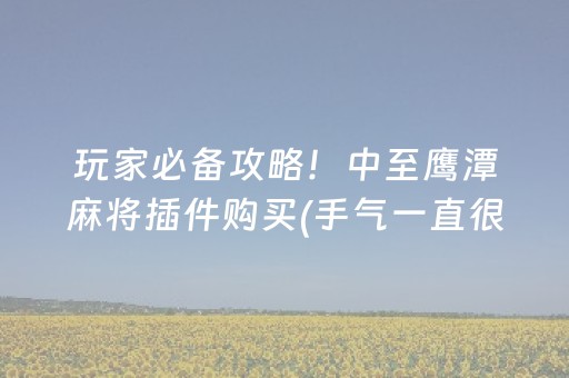 玩家必备攻略！中至鹰潭麻将插件购买(手气一直很差)