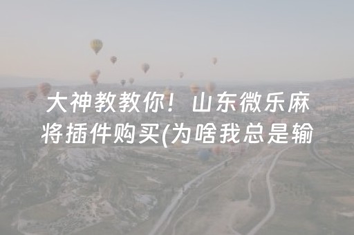 大神教教你！山东微乐麻将插件购买(为啥我总是输)