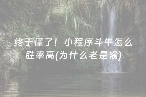 终于懂了！小程序斗牛怎么胜率高(为什么老是输)