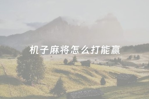 机子麻将怎么打能赢（打机子麻将怎么搞鬼）