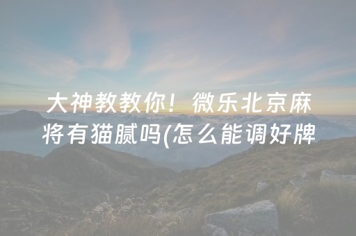 大神教教你！微乐北京麻将有猫腻吗(怎么能调好牌)