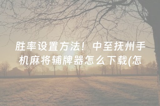 胜率设置方法！中至抚州手机麻将辅牌器怎么下载(怎么赢得多)