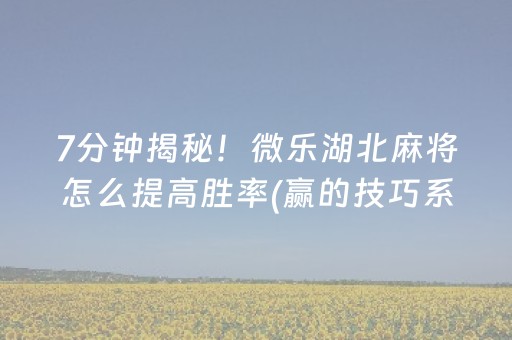 7分钟揭秘！微乐湖北麻将怎么提高胜率(赢的技巧系统规律)