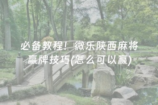 必备教程！微乐陕西麻将赢牌技巧(怎么可以赢)