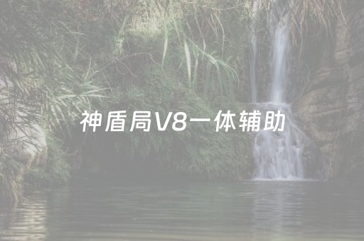 神盾局V8一体辅助（神盾局v8一体辅助怎么用）