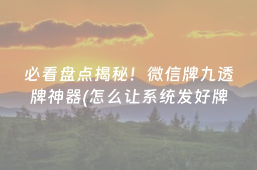 必看盘点揭秘！微信牌九透牌神器(怎么让系统发好牌)