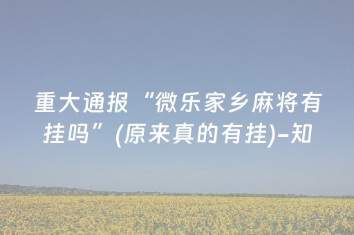重大通报“微乐家乡麻将有挂吗”(原来真的有挂)-知乎