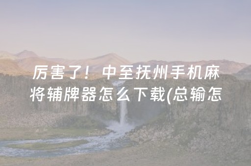 厉害了！中至抚州手机麻将辅牌器怎么下载(总输怎么回事)