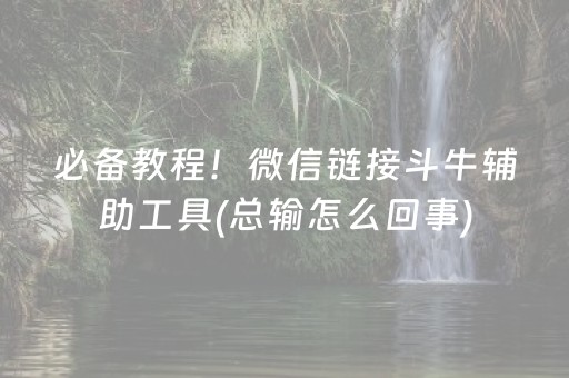 必备教程！微信链接斗牛辅助工具(总输怎么回事)