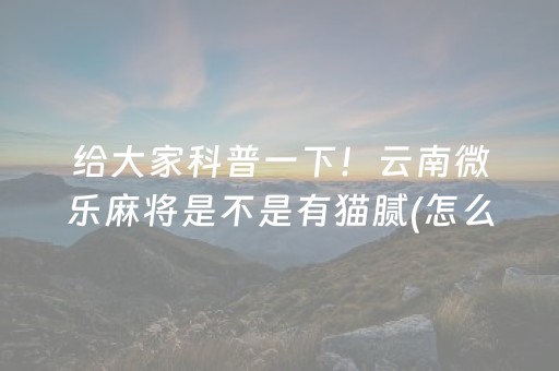 给大家科普一下！云南微乐麻将是不是有猫腻(怎么才能来好牌)