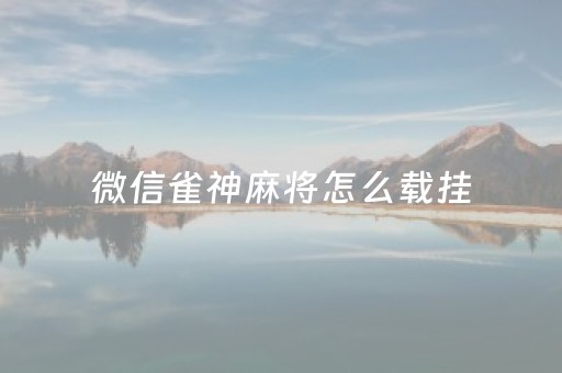 微信雀神麻将怎么载挂（微信雀神麻将有没有挂?谁知道）