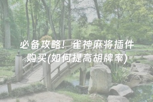 必备攻略！雀神麻将插件购买(如何提高胡牌率)