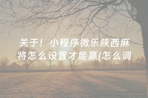 关于！小程序微乐陕西麻将怎么设置才能赢(怎么调胜率)