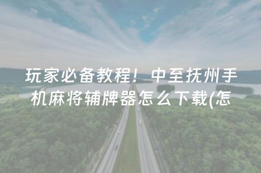 玩家必备教程！中至抚州手机麻将辅牌器怎么下载(怎么打才赢)