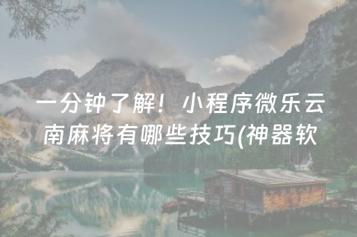 一分钟了解！小程序微乐云南麻将有哪些技巧(神器软件)