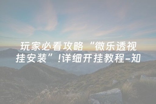 玩家必看攻略“微乐透视挂安装”!详细开挂教程-知乎