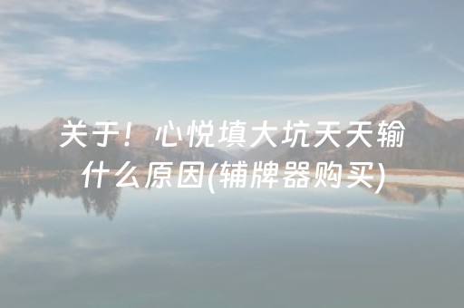 关于！心悦填大坑天天输什么原因(辅牌器购买)