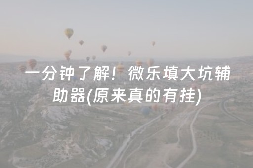 一分钟了解！微乐填大坑辅助器(原来真的有挂)