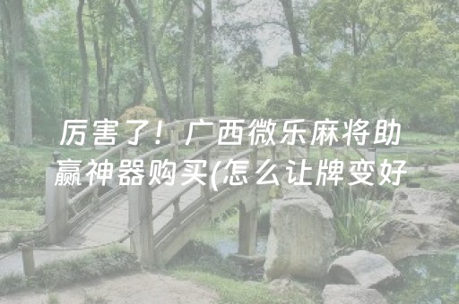 厉害了！广西微乐麻将助赢神器购买(怎么让牌变好)
