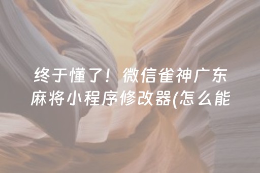 终于懂了！微信雀神广东麻将小程序修改器(怎么能拿好牌)