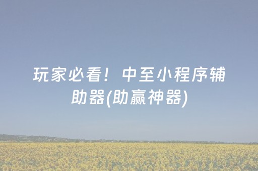 玩家必看！中至小程序辅助器(助赢神器)