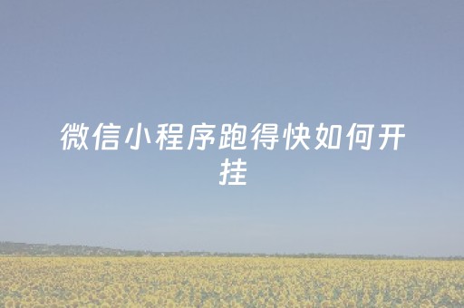微信小程序跑得快如何开挂（小程序跑得快有没有挂）