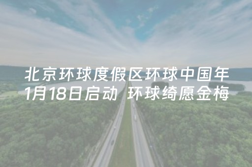 北京环球度假区环球中国年1月18日启动  环球绮愿金梅树将首次亮相