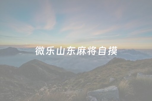 微乐山东麻将自摸（微乐山东麻将有挂吗）