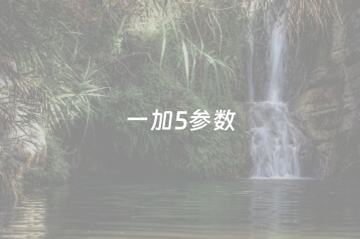 一加5参数（一加5参数详细参数）