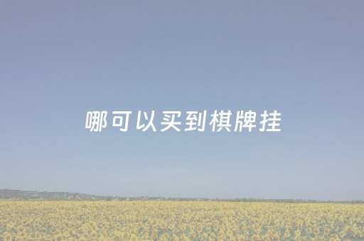 哪可以买到棋牌挂（哪可以买到棋牌挂的牌子）