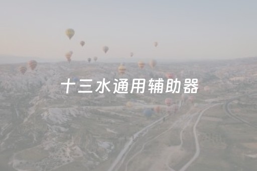 十三水通用辅助器（十三水辅助器有用吗）