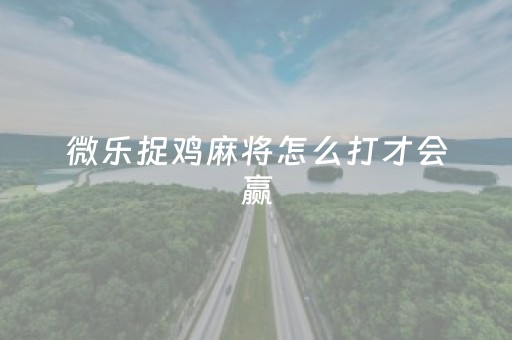 微乐捉鸡麻将怎么打才会赢（微乐捉鸡麻将如何只赢不输）