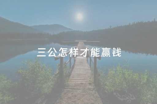 三公怎样才能赢钱（三公怎么样才能赢）